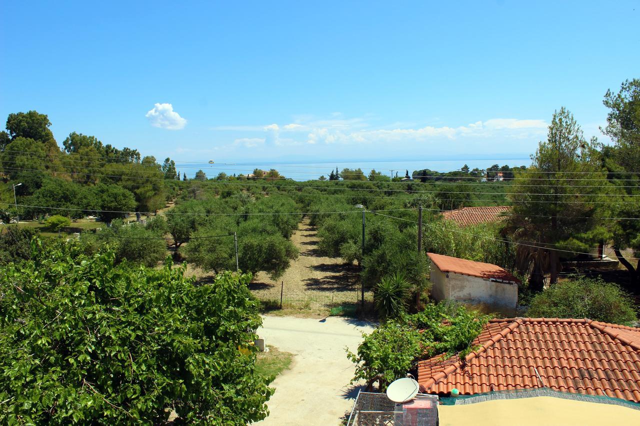 דירות Vasilikí Zante Yliessa מראה חיצוני תמונה